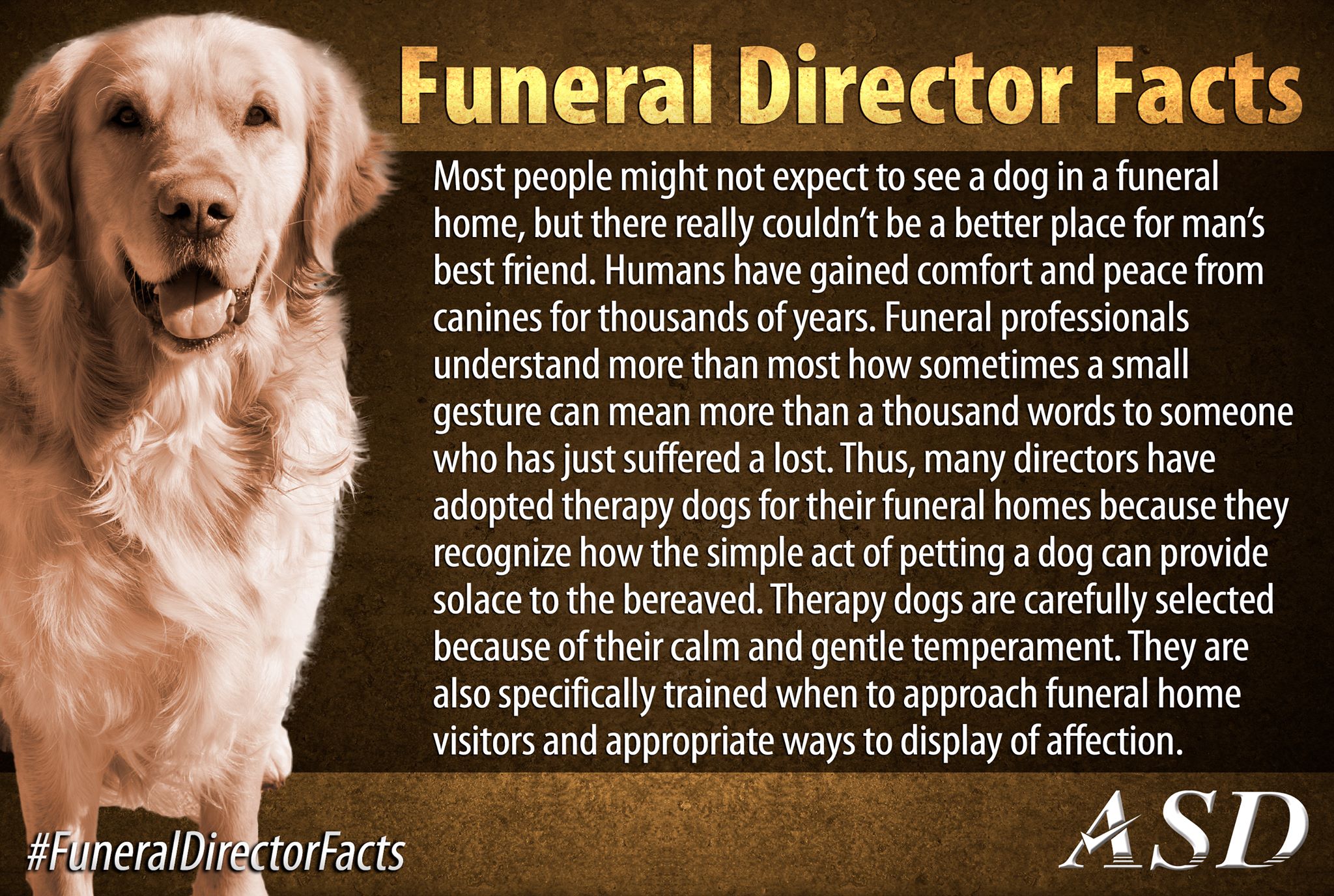 30 Facts About Funeral Directors In Honor Of National Funeral